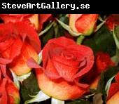 unknow artist Realistic Red Roses